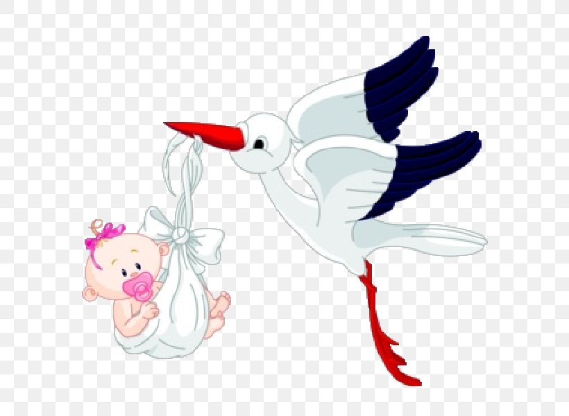 Bird Infant Clip Art, PNG, 600x600px, Bird, Art, Baby Announcement, Beak, Birth Download Free