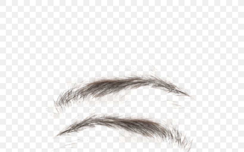 Eyebrow Eyelash Texture Mapping, PNG, 512x512px, Eyebrow, Bitmap, Close Up, Color, Eye Download Free