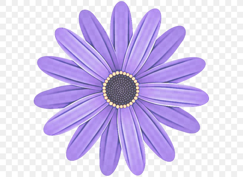 Lavender, PNG, 599x600px, Violet, African Daisy, Barberton Daisy, Flower, Gerbera Download Free