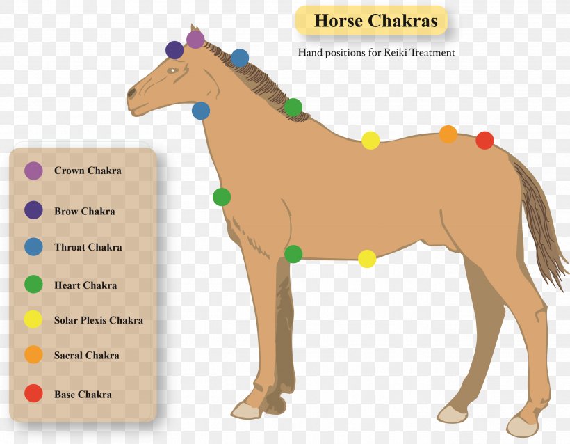 Pony Horse Crystal Healing Stallion Dog, PNG, 2618x2038px, Pony, Alternative Health Services, Chakra, Crystal Healing, Dog Download Free