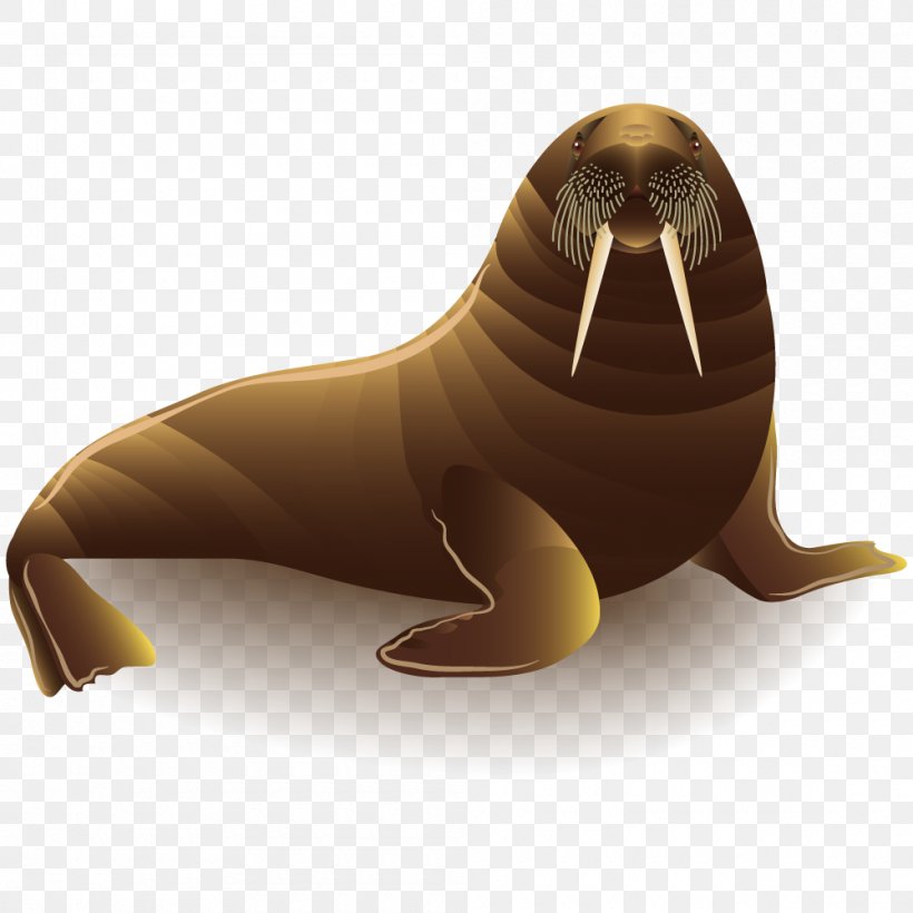 Sea Lion Walrus, PNG, 1000x1000px, Sea Lion, Animal, Aquatic Animal, Carnivoran, Carnivore Download Free