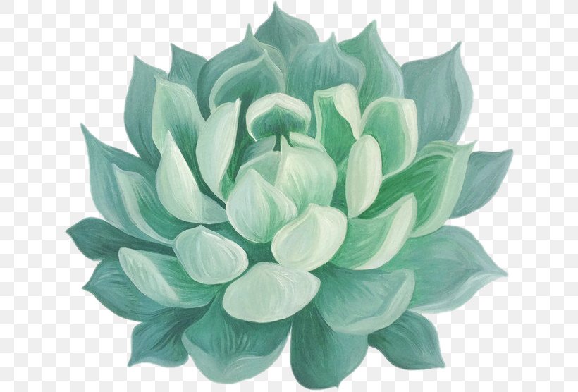 Succulent Plant Paper Drawing Watercolor Painting, PNG, 642x556px, Succulent Plant, Art, Artificial Flower, Botanical Illustration, Cactaceae Download Free