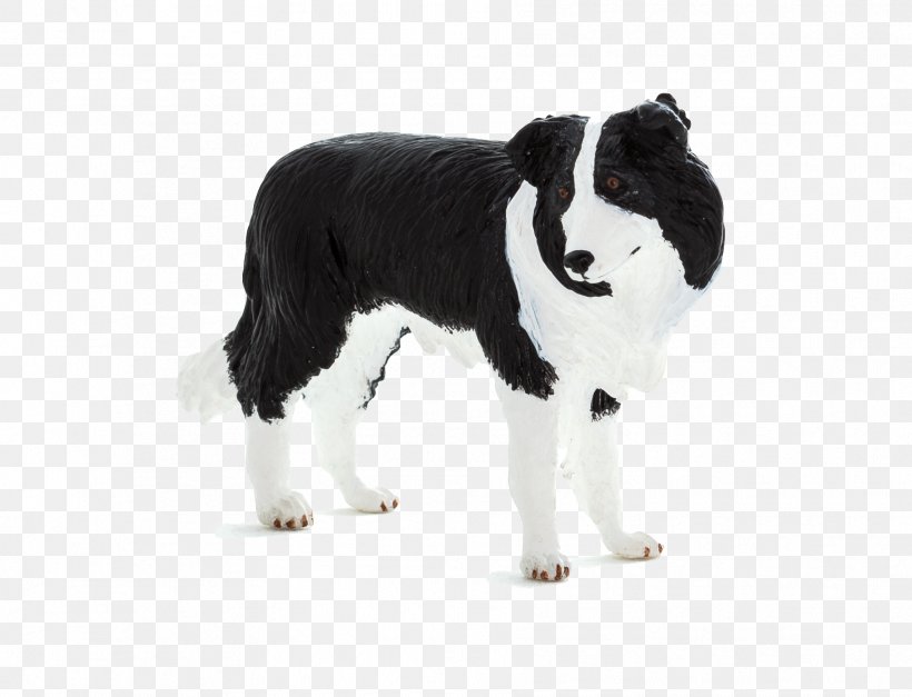 Barbara Sykes' Training Border Collies Rough Collie Dalmatian Dog Puppy, PNG, 1809x1385px, Border Collie, Animal, Blue Merle, Breed, Carnivoran Download Free