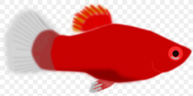 Fish Clip Art, PNG, 1280x640px, Fish, Red Download Free