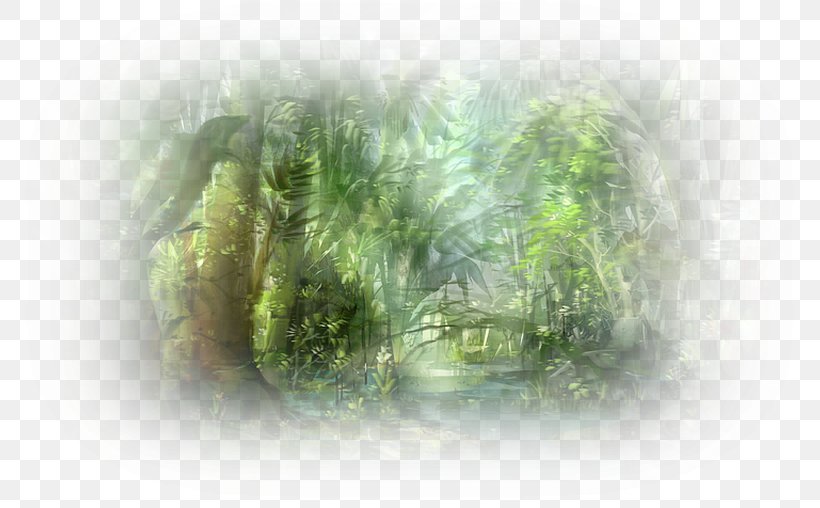 Digital Image Photography Desktop Wallpaper, PNG, 800x508px, 2018, Digital Image, Chart, Forest, Grass Download Free
