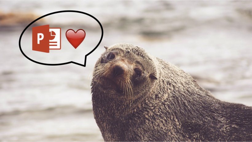 Sea Lion Pinniped South American Fur Seal, PNG, 1500x844px, Sea Lion, Animal, Fauna, Fur Seal, Harbor Seal Download Free