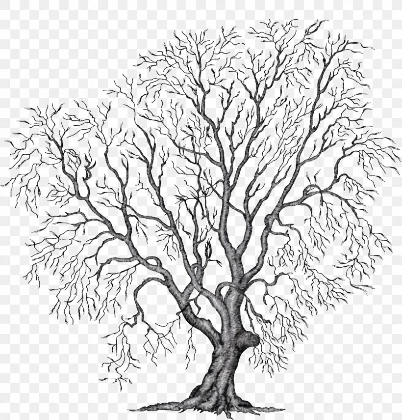 Tree Drawing Clip Art, PNG, 1164x1214px, Tree, Art, Artwork, Autumn, Black And White Download Free