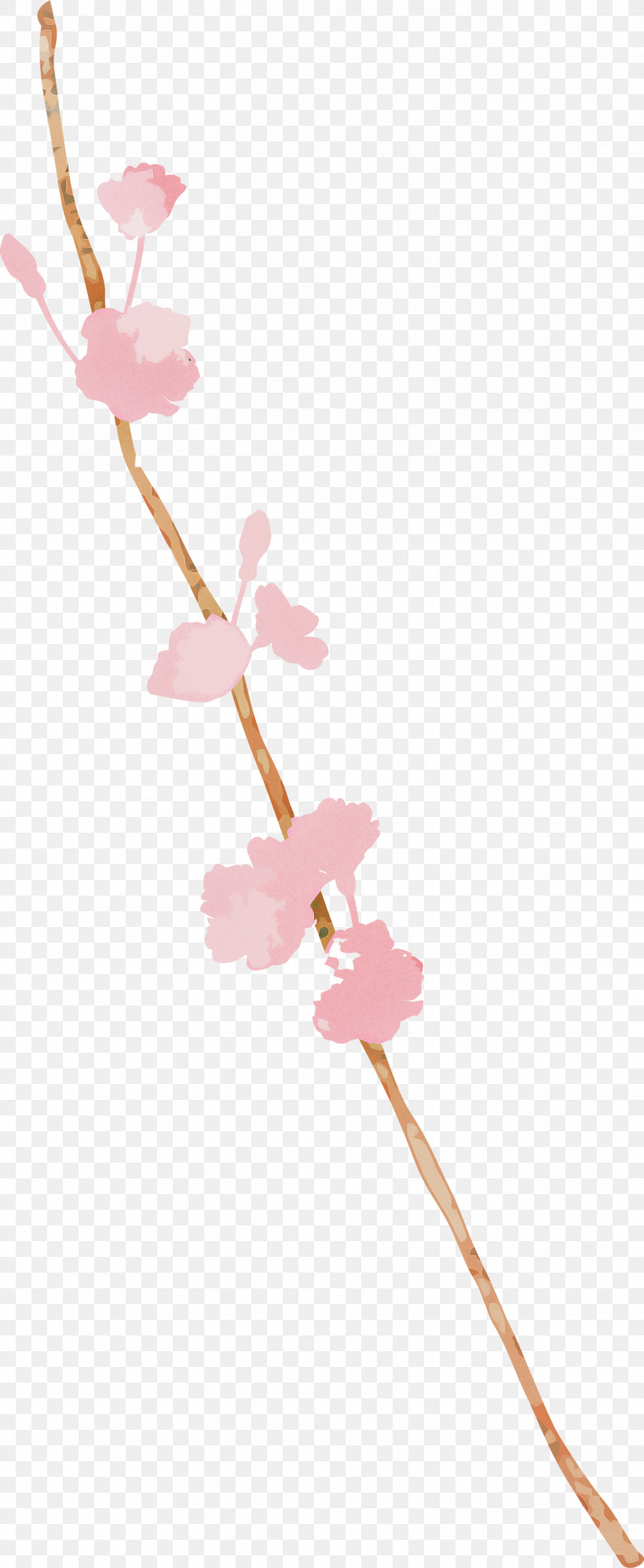 Cherry Blossom, PNG, 1232x2999px, Pink, Blossom, Cherry Blossom, Flower, Pedicel Download Free