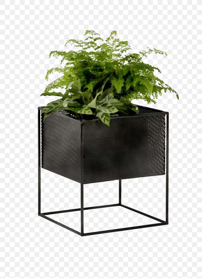 Flowerpot Leaf Houseplant Plant Table, PNG, 750x1125px, Watercolor, Annual Plant, Flowerpot, Furniture, Herb Download Free