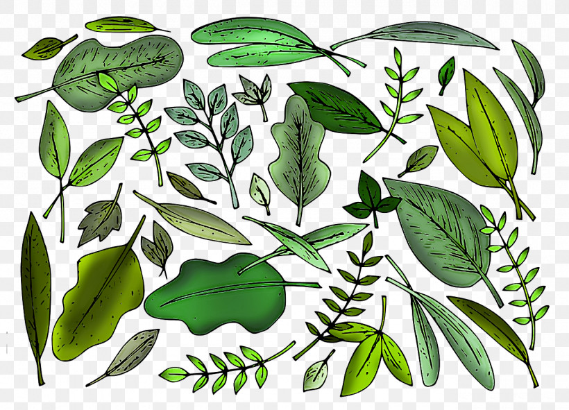 Leaf Plant Stem Herbal Medicine Tree Pattern, PNG, 1280x924px, Leaf, Biology, Herbal Medicine, Plant Stem, Plant Structure Download Free