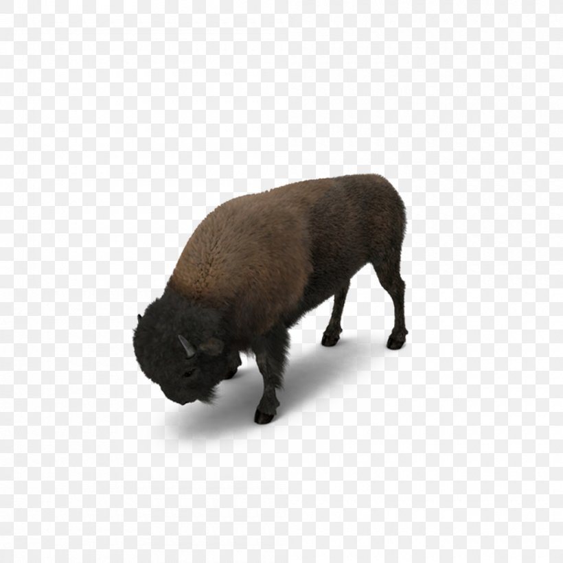 American Bison Herbivore Dog Breed, PNG, 1000x1000px, 3d Computer Graphics, American Bison, Bison, Breed Group Dog, Cattle Like Mammal Download Free