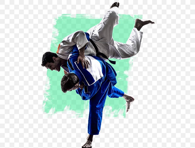 Jujutsu Brazilian Jiu-jitsu Judo Mixed Martial Arts, PNG, 491x623px, Jujutsu, Boxing, Brazilian Jiujitsu, Carlson Gracie, Costume Download Free