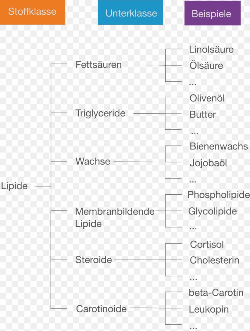 Lipid Fat Família De Compostos Triglyceride Diet, PNG, 1277x1691px, Lipid, Area, Biochemistry, Biology, Brand Download Free