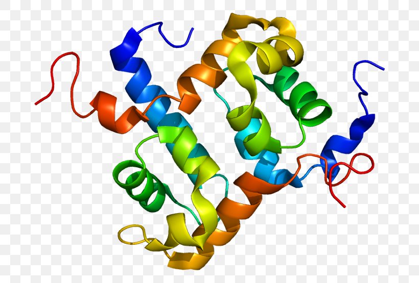 ERCC4 ERCC1 Nucleotide Excision Repair Protein Endonuclease, PNG, 736x555px, Nucleotide Excision Repair, Base Excision Repair, Dna Damage, Dna Repair, Endonuclease Download Free