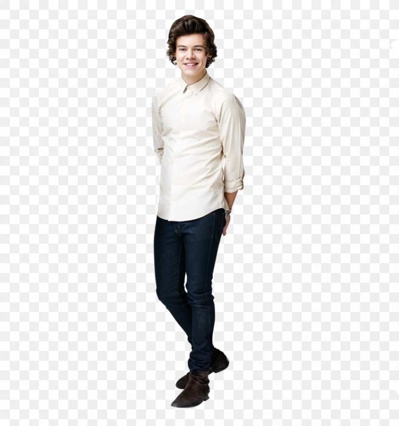 One Direction T-shirt Poster Standee Easel, PNG, 865x923px, Watercolor, Cartoon, Flower, Frame, Heart Download Free