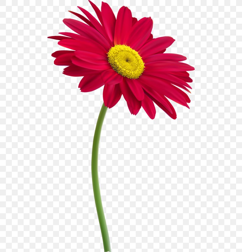 Plant Stem Cut Flowers Clip Art, PNG, 500x851px, Plant Stem, Annual Plant, Artificial Flower, Arumlily, Cut Flowers Download Free