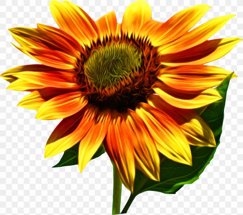 Clip Art Common Sunflower Image Openclipart, PNG, 2377x2104px, Common Sunflower, Annual Plant, Coneflower, Cut Flowers, Daisy Family Download Free