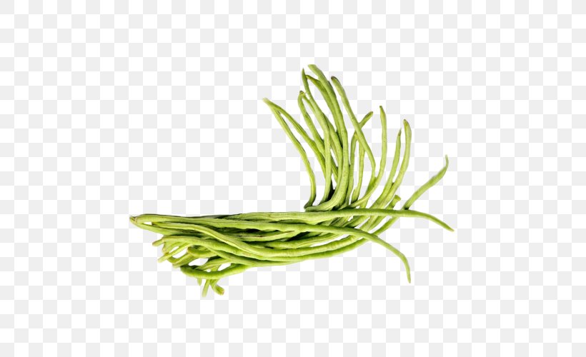 Vegetable Scallion Herb Greens Green Bean, PNG, 500x500px, Vegetable, Commodity, Food, Fruit, Grass Download Free
