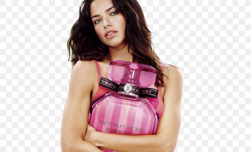 Adriana Lima Display Resolution Model Wallpaper, PNG, 1024x622px, Watercolor, Cartoon, Flower, Frame, Heart Download Free