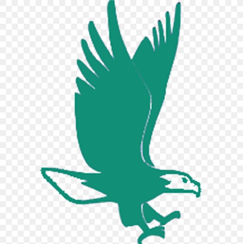 Computer Software Educational Software Val Verde Unified School District Beak, PNG, 675x825px, Computer Software, Beak, Bird, Eagle, Education Download Free