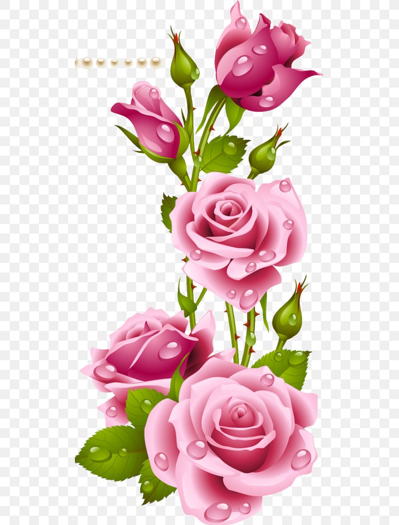 Desktop Wallpaper Flower Garden Roses Wallpaper, PNG, 511x1079px, Paper, Artificial Flower, Convite, Cut Flowers, Floral Design Download Free