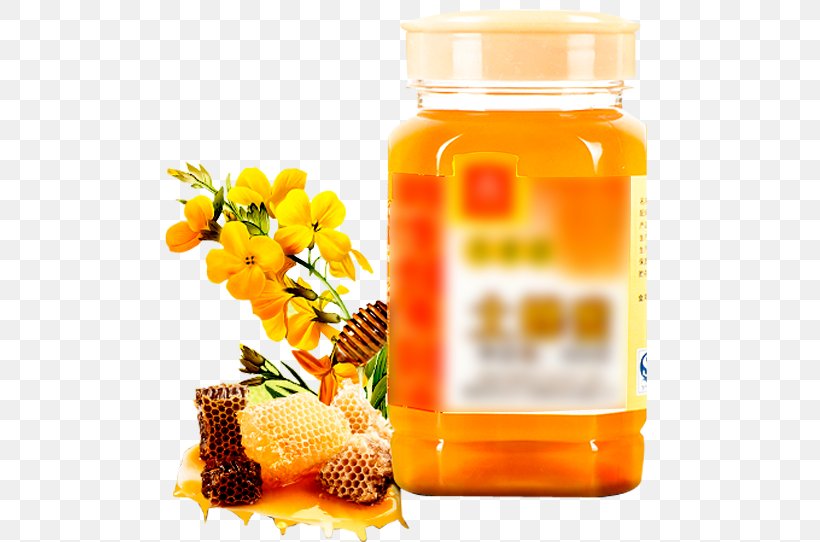Honey Bee Honey Bee Black Locust, PNG, 500x542px, Bee, Beeswax, Black Locust, Flavor, Food Download Free
