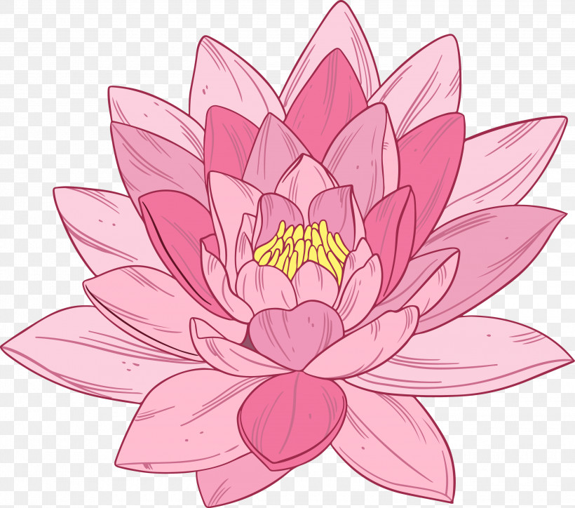 Bodhi Lotus Lotus, PNG, 3000x2649px, Bodhi Lotus, Aquatic Plant, Cut Flowers, Flower, Fragrant White Water Lily Download Free
