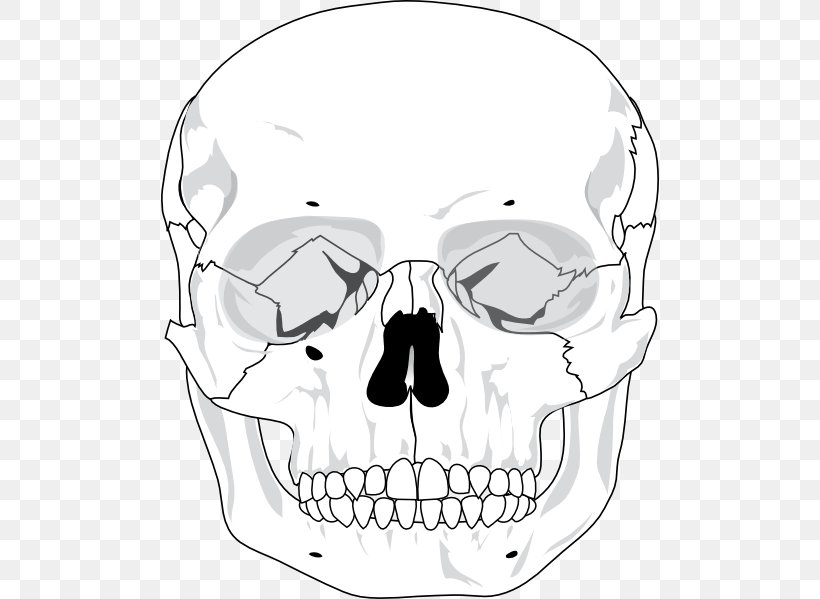 Clip Art Skull Vector Graphics Human Skeleton, PNG, 498x599px, Skull, Area, Artwork, Black And White, Bone Download Free