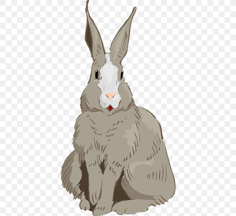 Domestic Rabbit Hare Easter Bunny Cottontail Rabbit, PNG, 401x750px, Domestic Rabbit, Animal, Beak, Canidae, Cartoon Download Free