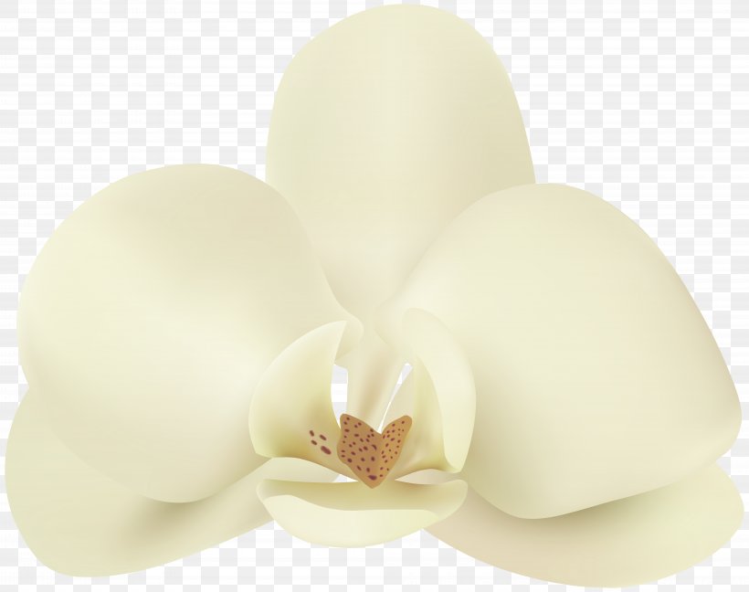 Lighting, PNG, 8000x6323px, Petal, Flower, Lighting Download Free