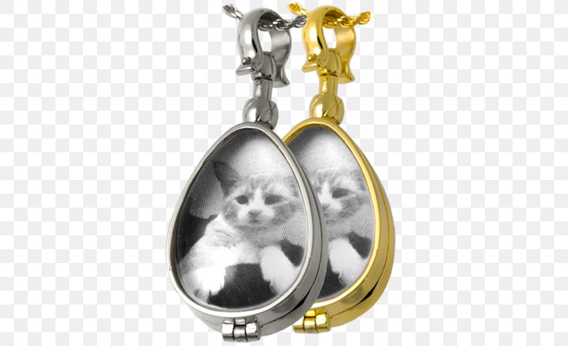 Locket Cat Charms & Pendants Jewellery Necklace, PNG, 500x500px, Locket, Bail, Bangle, Body Jewelry, Bracelet Download Free