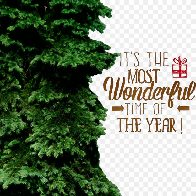 Christmas Tree, PNG, 1752x1751px, Merry Christmas Banner, Biome, Christmas Day, Christmas Tree, Conifers Download Free