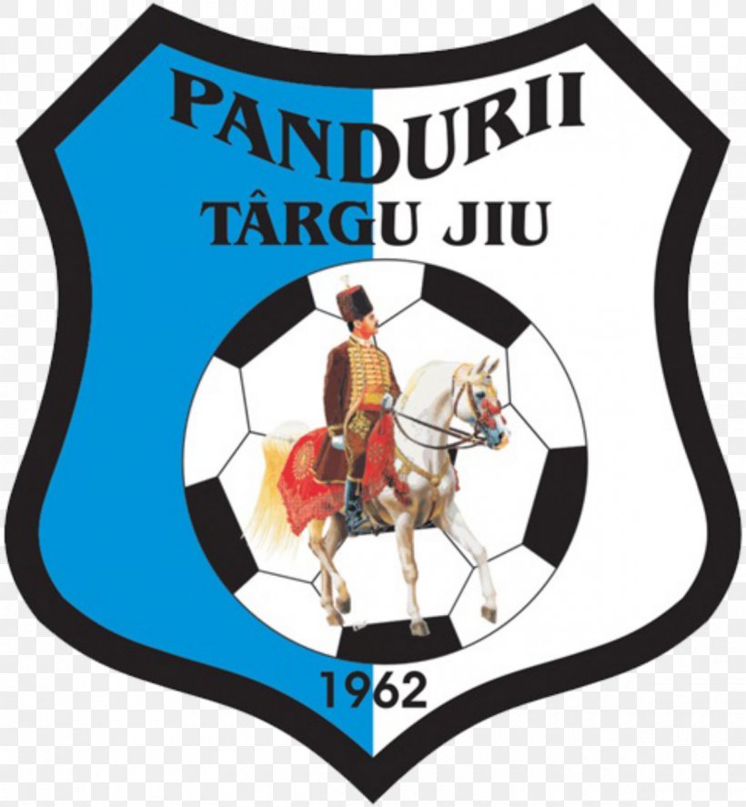 CS Pandurii Târgu Jiu Stadionul Tudor Vladimirescu Liga I Cluj-Napoca CS Mioveni, PNG, 1200x1299px, Liga I, Association, Brand, Clujnapoca, Cs Mioveni Download Free