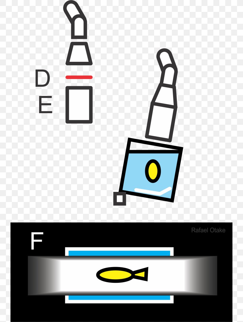 Photography Low-key Lighting Softbox Fish, PNG, 750x1084px, Photography, Aquascaping, Area, Brand, Diagram Download Free