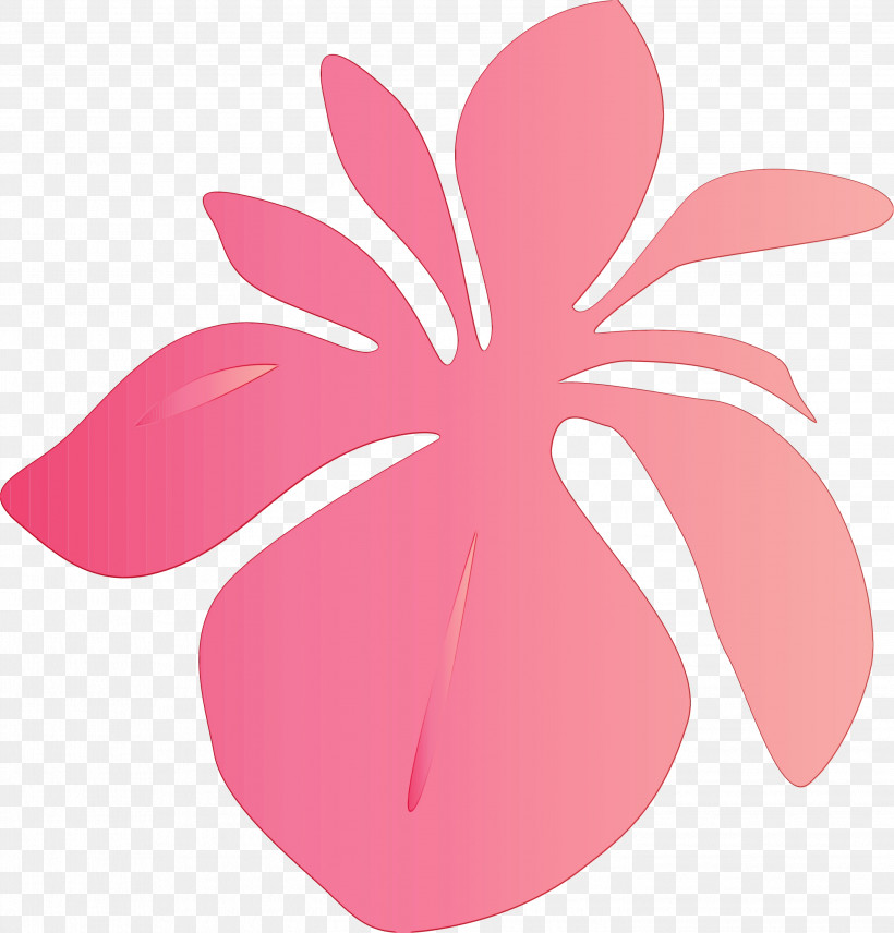 Pink Petal Leaf Plant Flower, PNG, 2894x3022px, Iris Flower, Flower, Frangipani, Herbaceous Plant, Hibiscus Download Free
