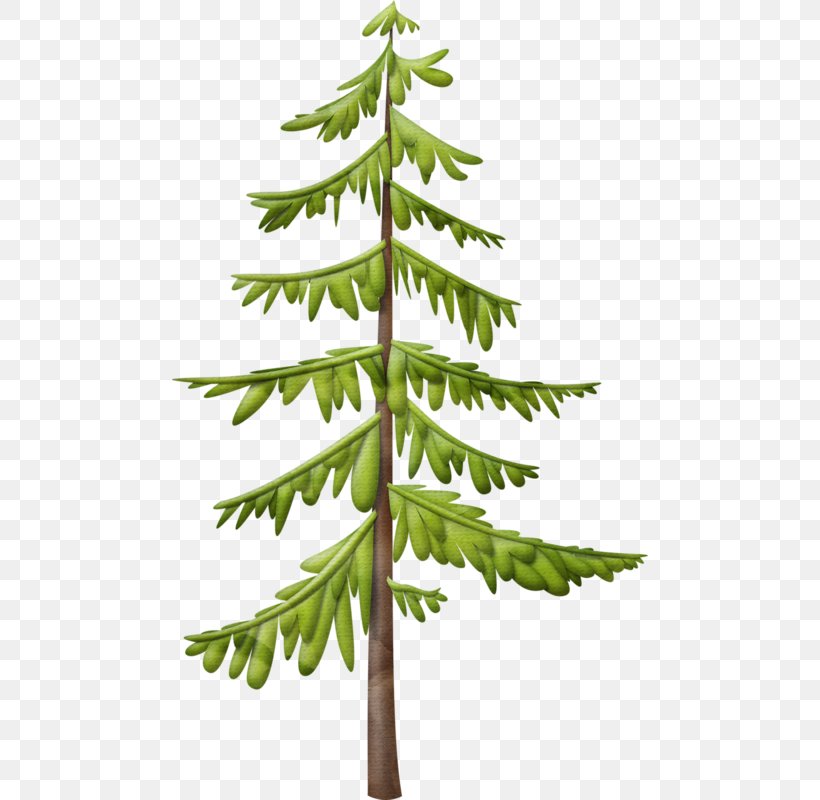 Fir Christmas Tree Christmas Ornament Clip Art, PNG, 476x800px, Fir, Branch, Christmas, Christmas And Holiday Season, Christmas Decoration Download Free
