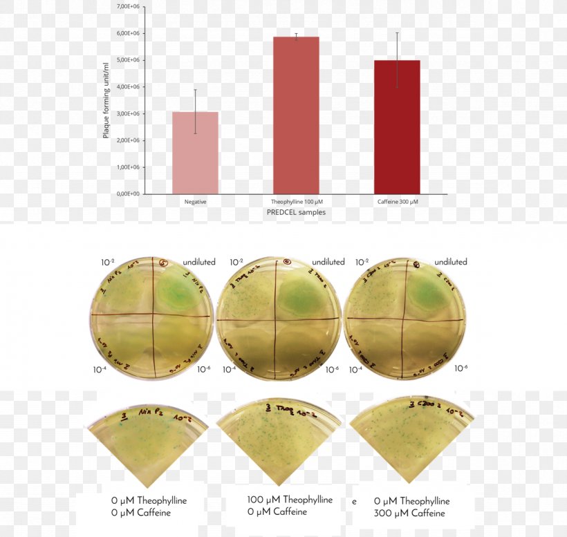 Rettungswache Cytochrome C International Genetically Engineered Machine Biology, PNG, 1178x1117px, Rettungswache, Biology, Brand, Cytochrome, Cytochrome C Download Free