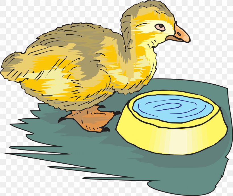 Bird Chicken Water Clip Art, PNG, 1280x1078px, Bird, Beak, Bowl, Chicken, Drinking Download Free