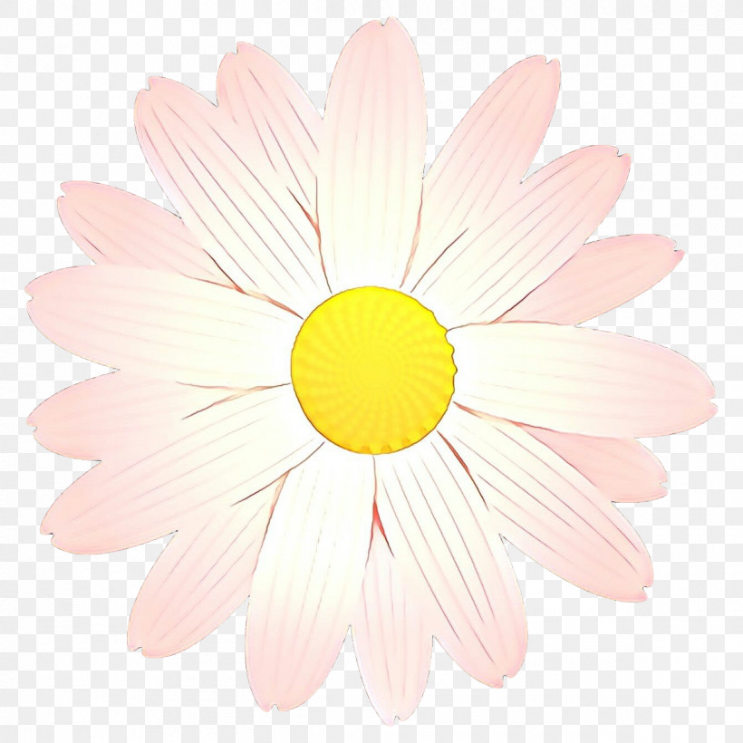 Daisy, PNG, 1200x1200px, Petal, Camomile, Chamomile, Daisy, Flower Download Free