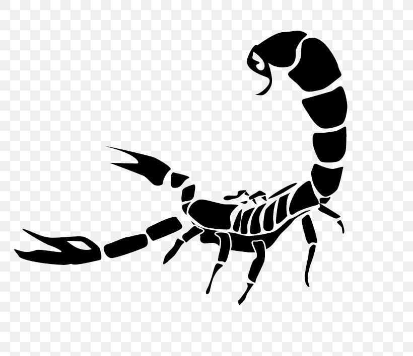 Scorpio Clip Art, PNG, 800x708px, Scorpio, Arachnid, Arthropod ...