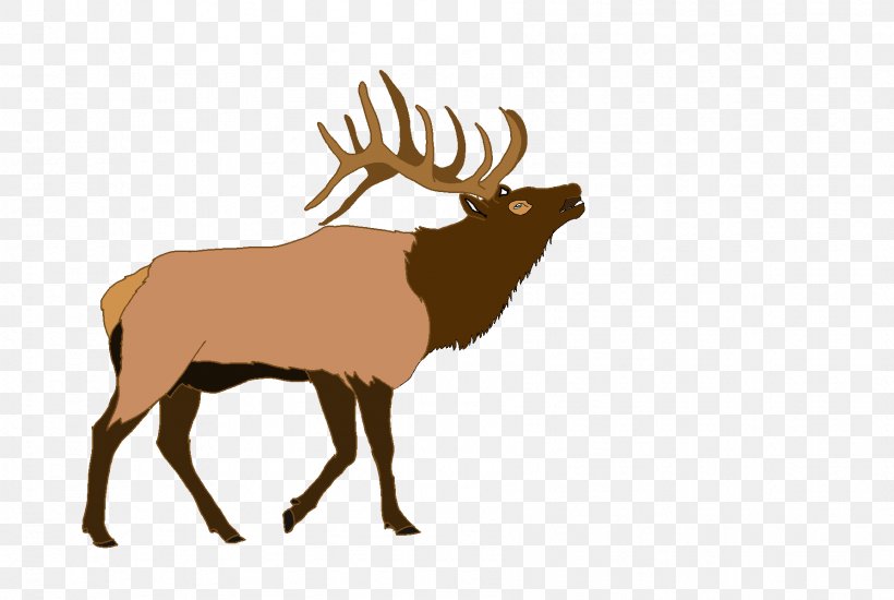 Elk Deer Illustration Vector Graphics Moose, PNG, 1787x1200px, Elk, Antelope, Antler, Deer, Fawn Download Free