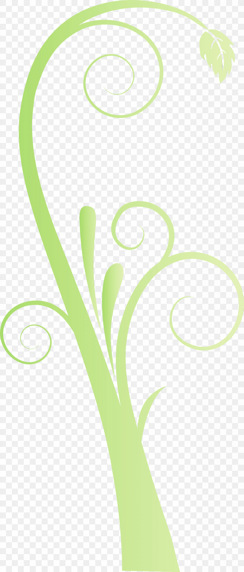 Green Leaf Plant Flower Logo, PNG, 1281x3000px, Classic Frame, Flower, Flower Frame, Green, Leaf Download Free