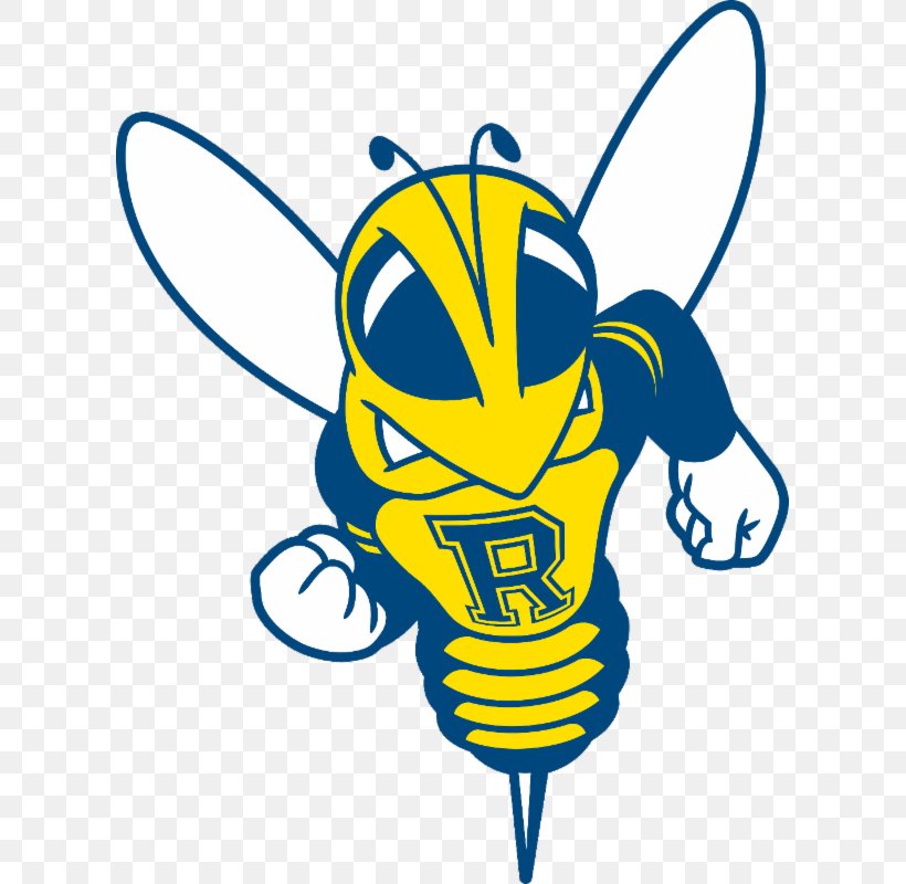 Rochester Yellowjackets Football Rochester Yellowjackets Men's Basketball Rochester Yellowjackets Women's Basketball University Of Rochester Office Of Admissions, PNG, 609x800px, University, Campus, College, Education, Electric Blue Download Free