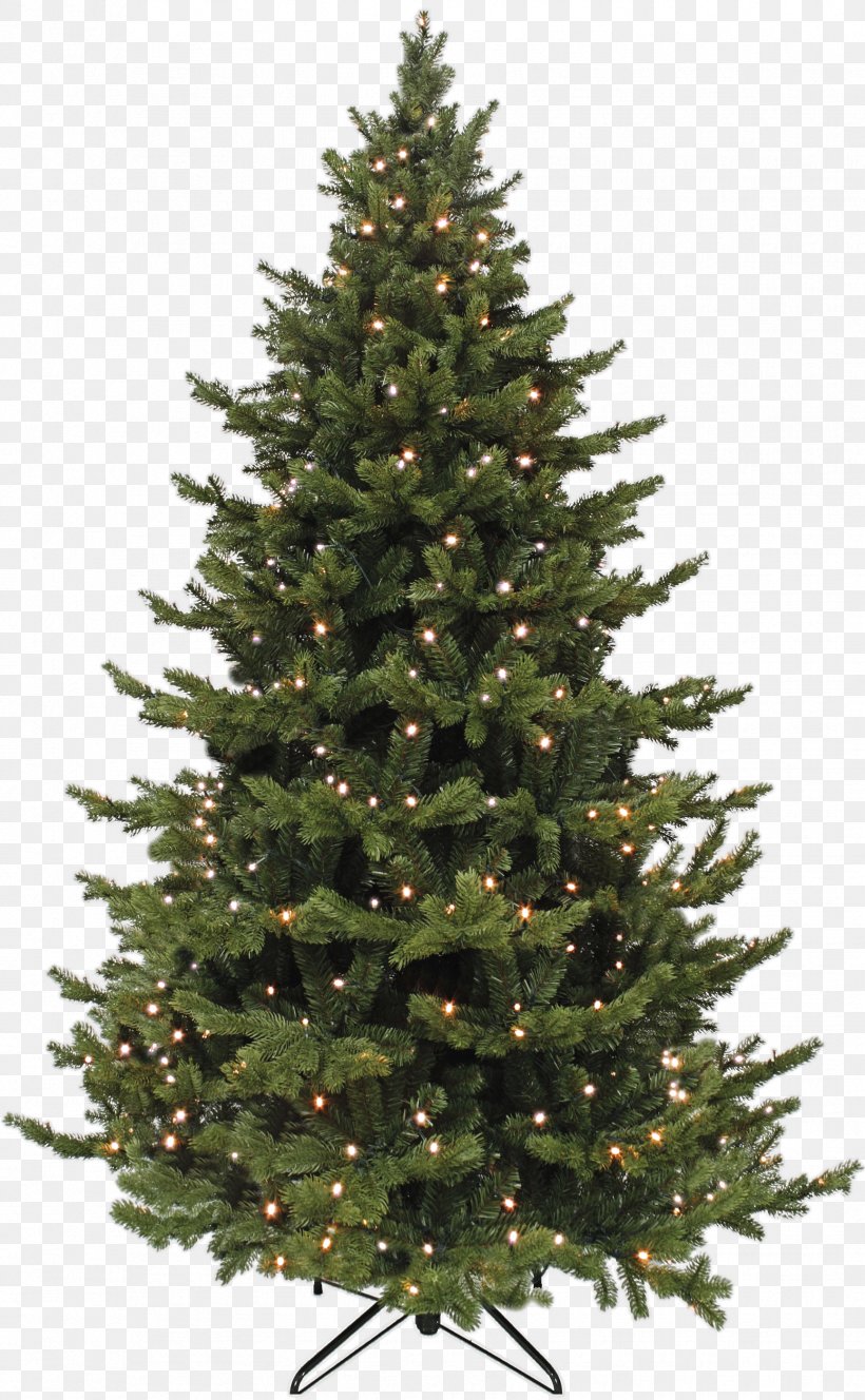 Artificial Christmas Tree Spruce Abies Bracteata, PNG, 1728x2800px, Tree, Abies Bracteata, Artificial Christmas Tree, Christmas, Christmas Decoration Download Free