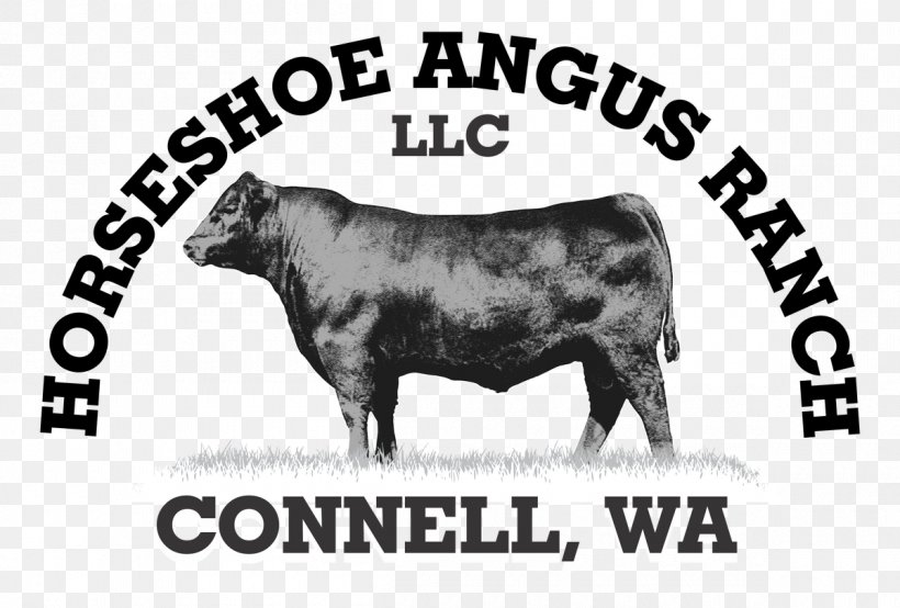 Bull Angus Cattle Hereford Cattle Beef Cattle Calf, PNG, 1200x811px, Bull, Advertising, Angus Cattle, Beef, Beef Cattle Download Free