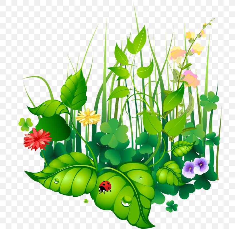 Floral Design Image Paper Plants, PNG, 728x800px, Floral Design, Art, Artwork, Cut Flowers, Fictional Character Download Free