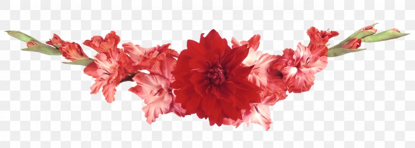 Flower Garden, PNG, 2758x990px, Flower, Blog, Common Daisy, Espalier, Floral Design Download Free