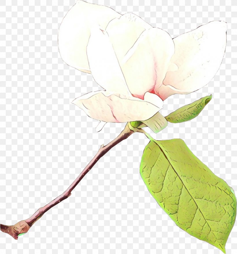 Flower Plant Leaf Magnolia Branch, PNG, 1122x1200px, Cartoon, Branch, Bud, Flower, Flowering Plant Download Free