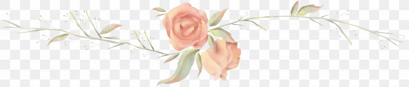 Petal Line Art Finger Cut Flowers, PNG, 3920x841px, Watercolor, Cartoon, Flower, Frame, Heart Download Free