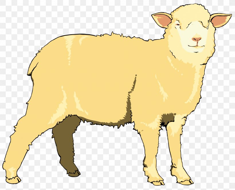 Sheep Clip Art, PNG, 2000x1623px, Sheep, Animal Figure, Cattle Like Mammal, Counting Sheep, Cow Goat Family Download Free
